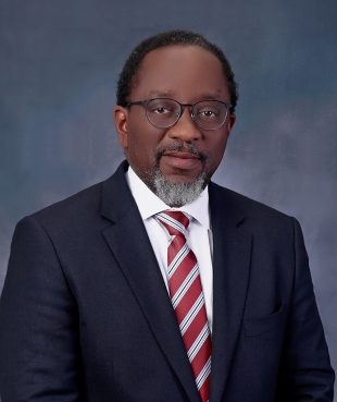 Professor Fabian Ajogwu, SAN